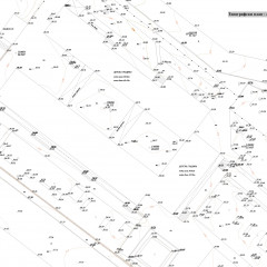 Topographical and specialized map (image)